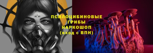 соль ск Алексеевка