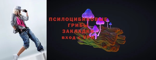 соль ск Алексеевка