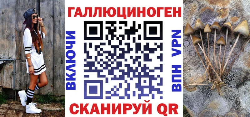 что такое наркотик  Избербаш  Псилоцибиновые грибы GOLDEN TEACHER 